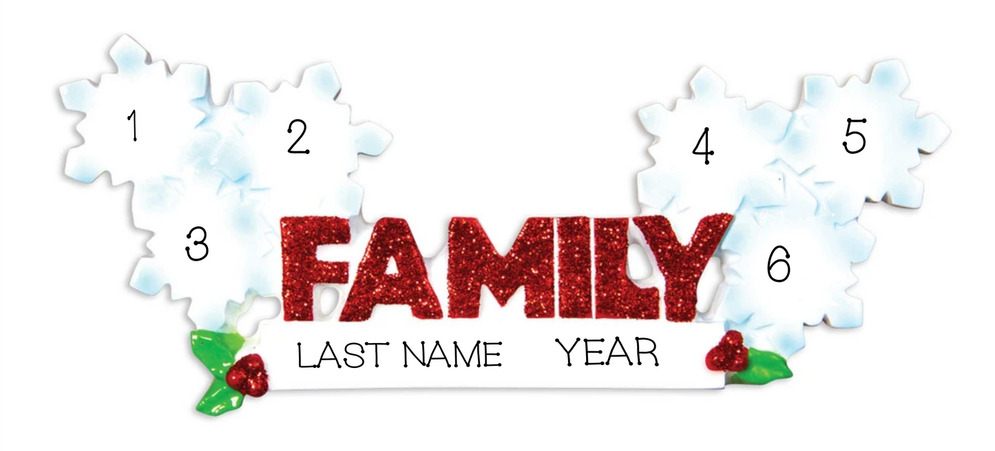 Word Family- 6 snowflakes