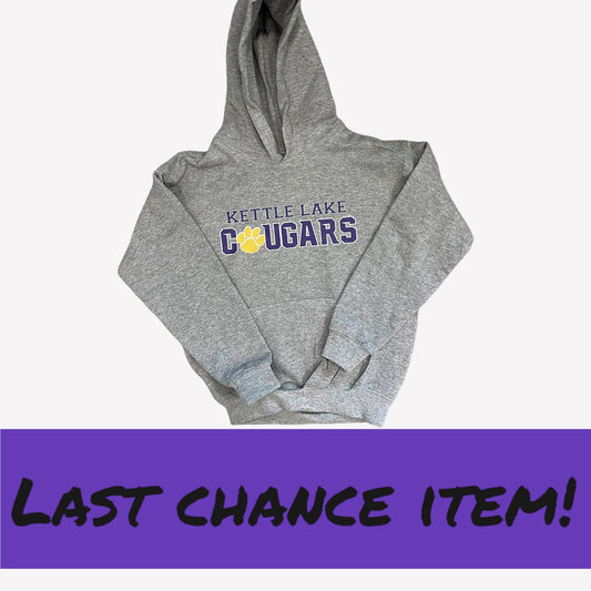 Last Chance Clearance Item, Grey Hoodie, Youth