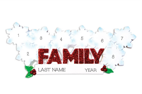 Word Family- 8 snowflakes